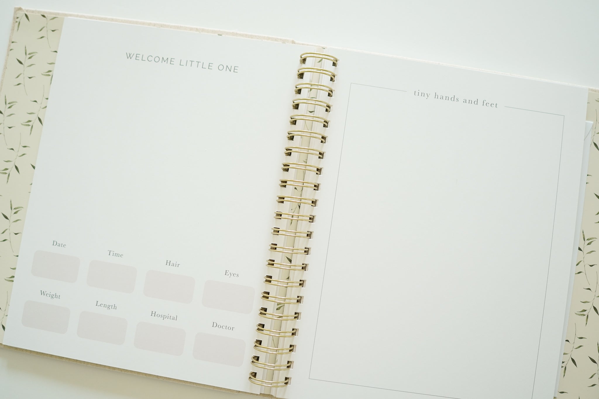 Pregnancy + Baby Book Combo - Sand