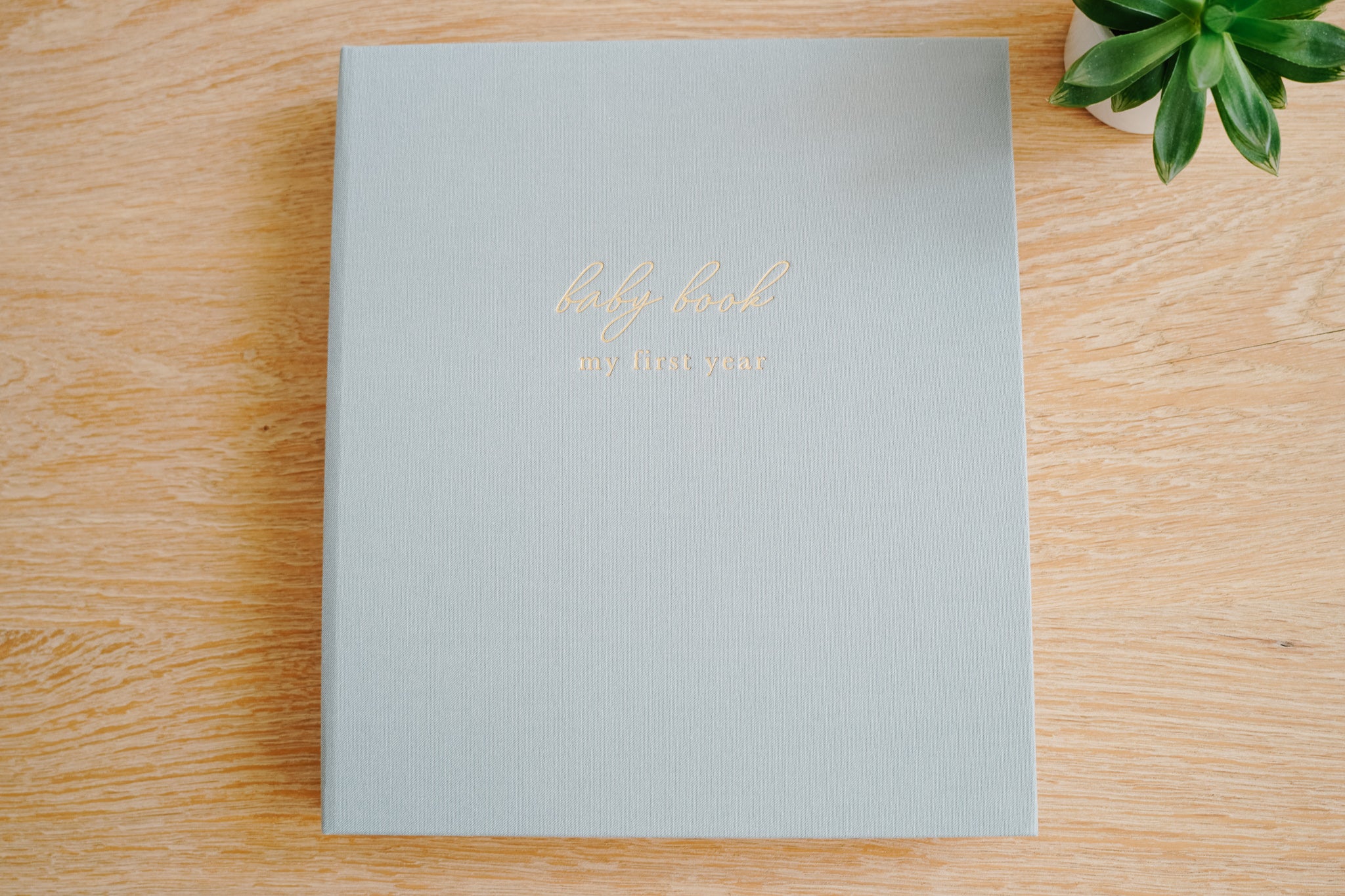 Pregnancy + Baby Book Combo - Dusty Blue