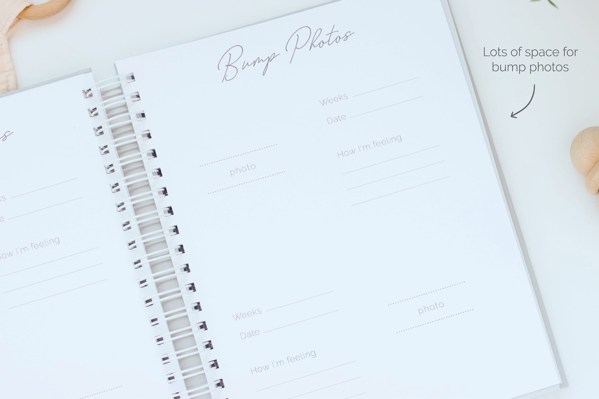 Pregnancy Journal - Concealed Spiral