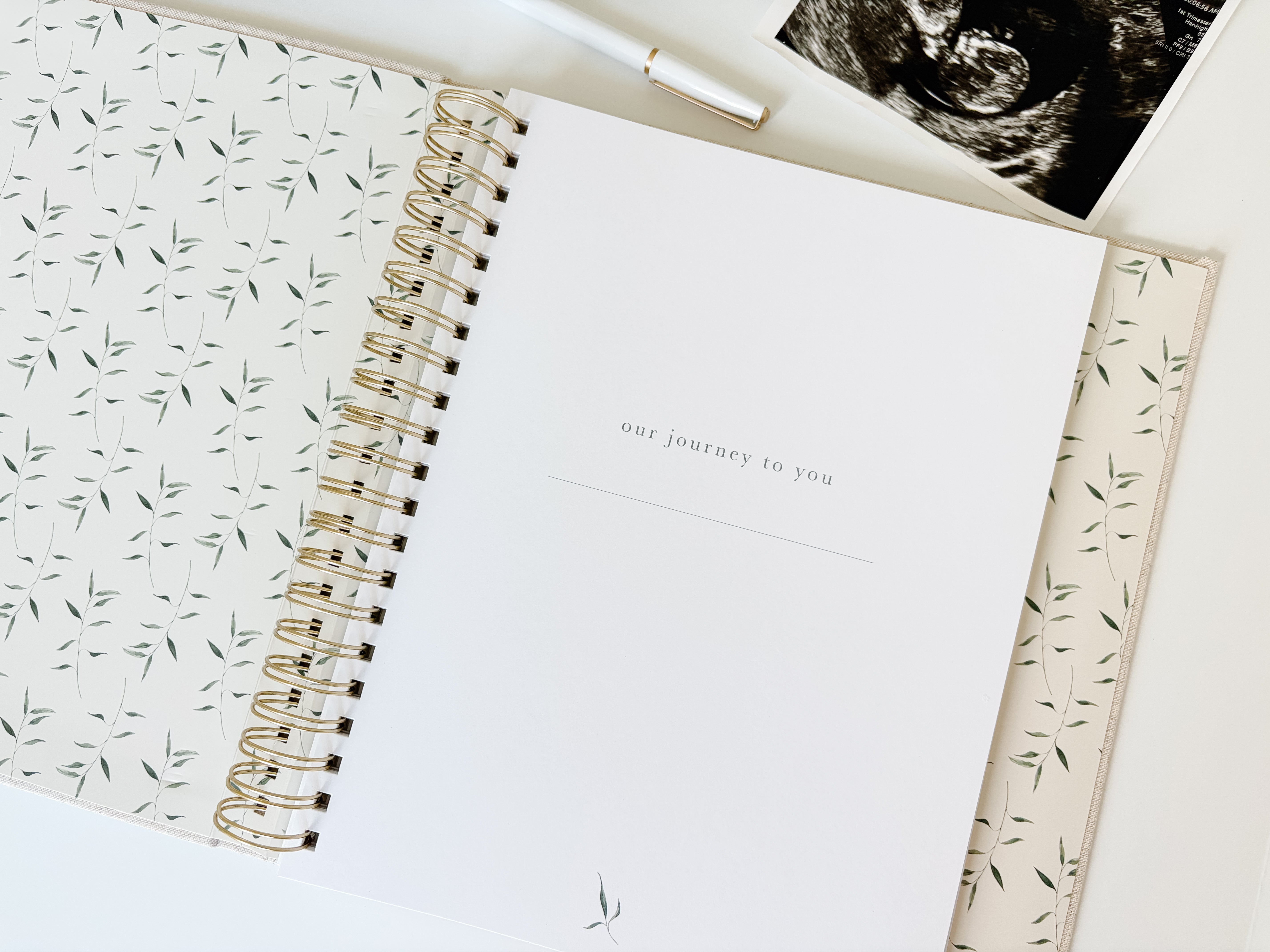 IVF Pregnancy Journal