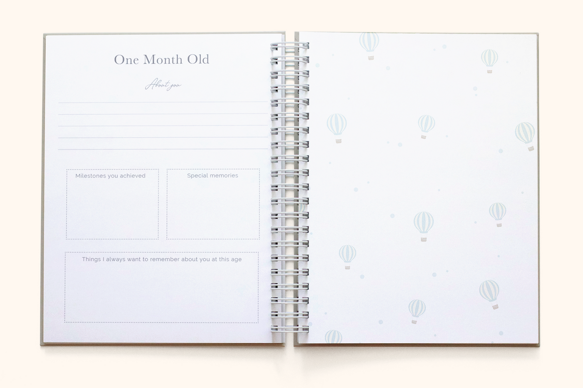 Up Up & Away Baby Book