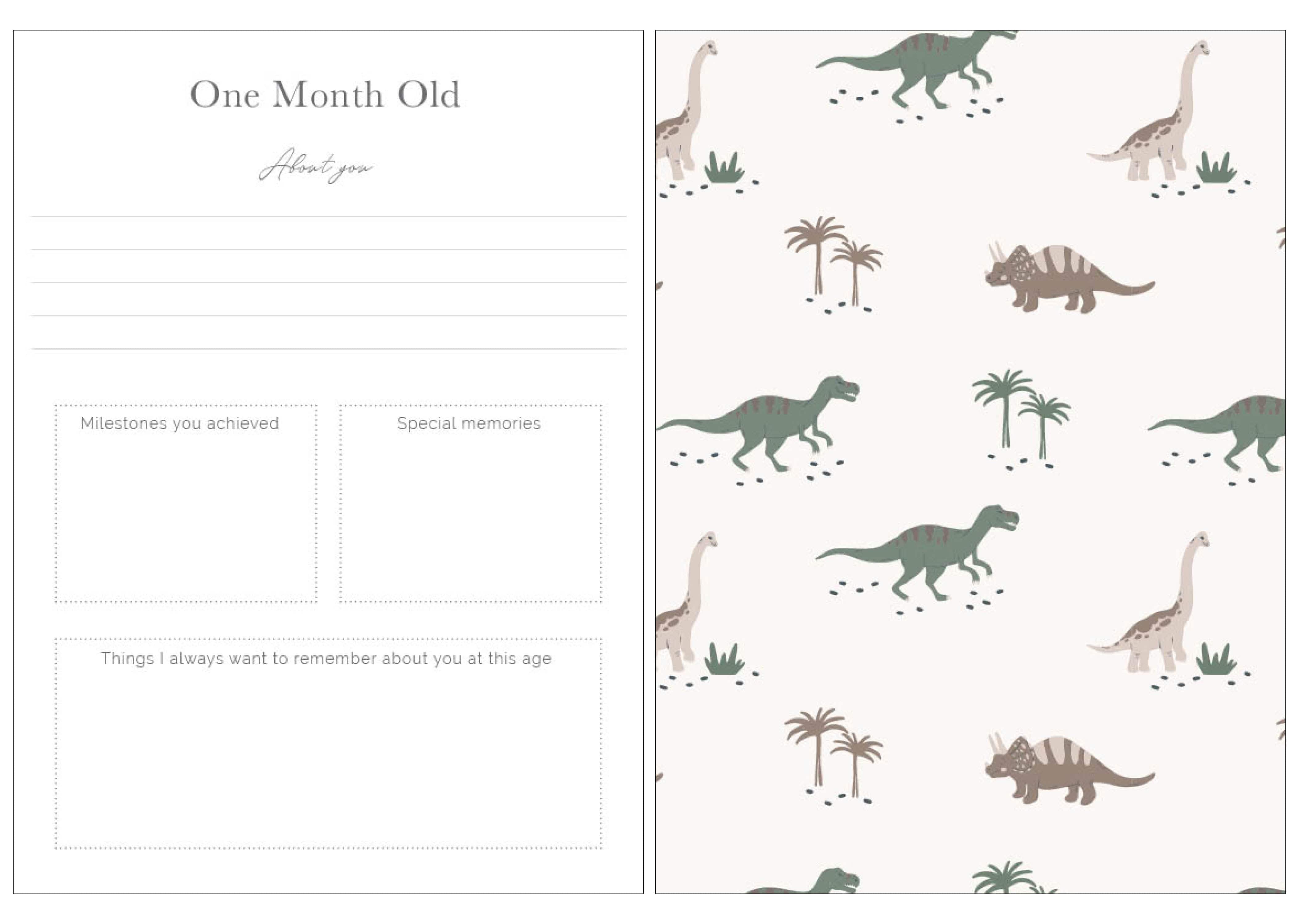 Dinosaur Baby Book