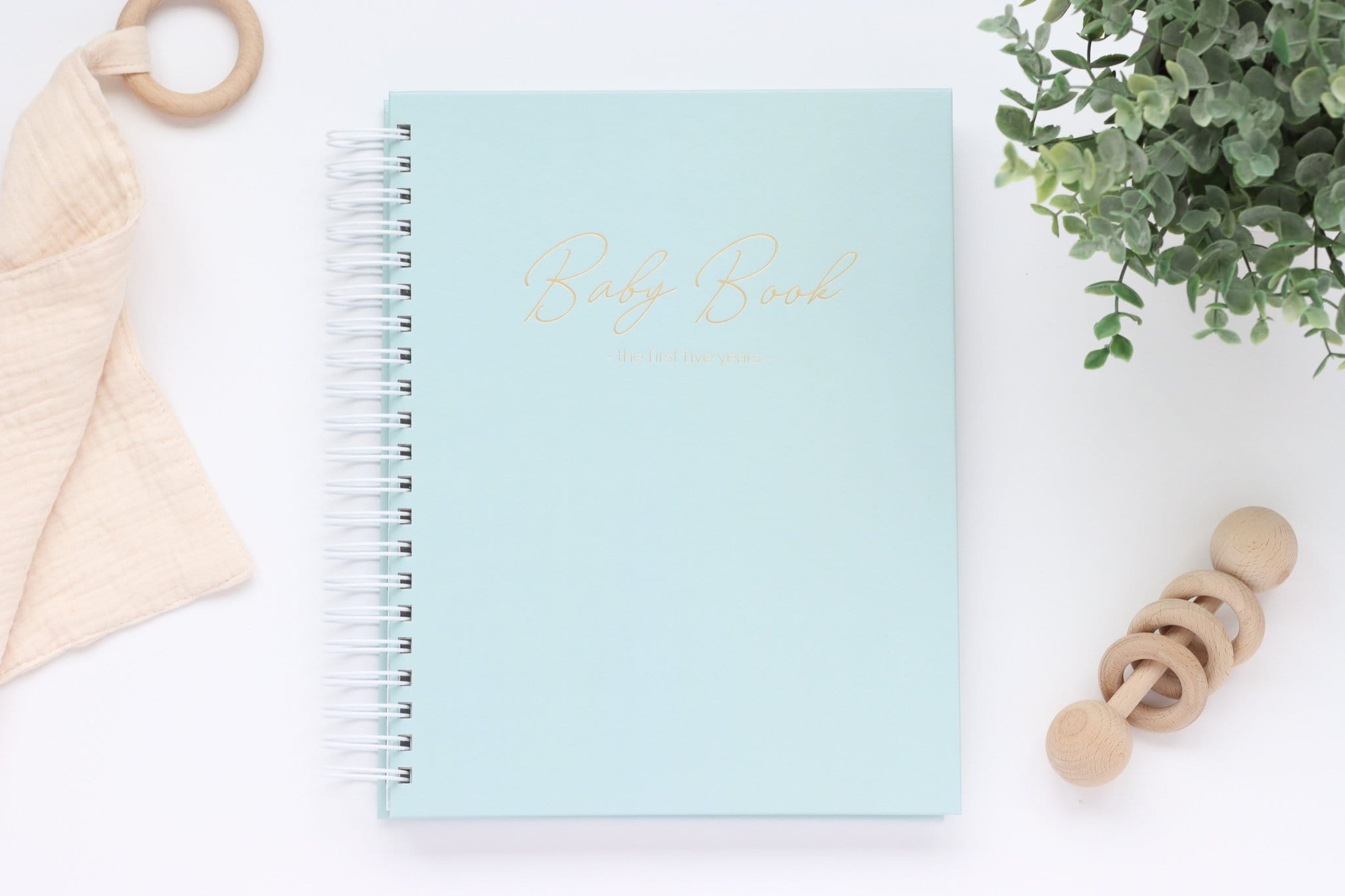 Up Up & Away Baby Book