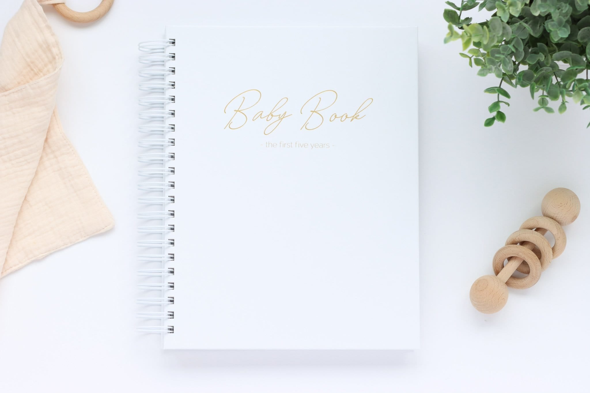 Up Up & Away Baby Book