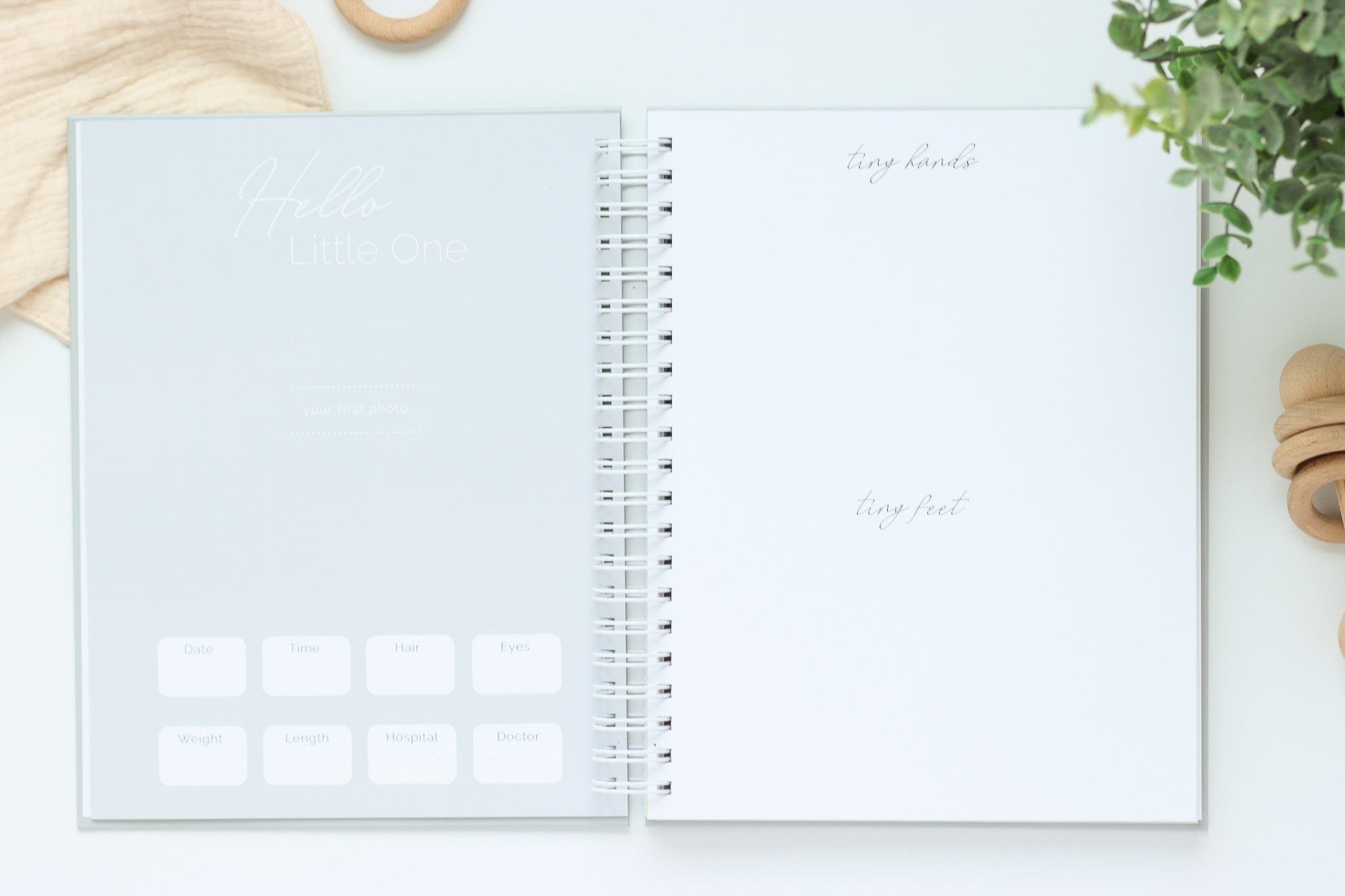 Little Love Baby Book