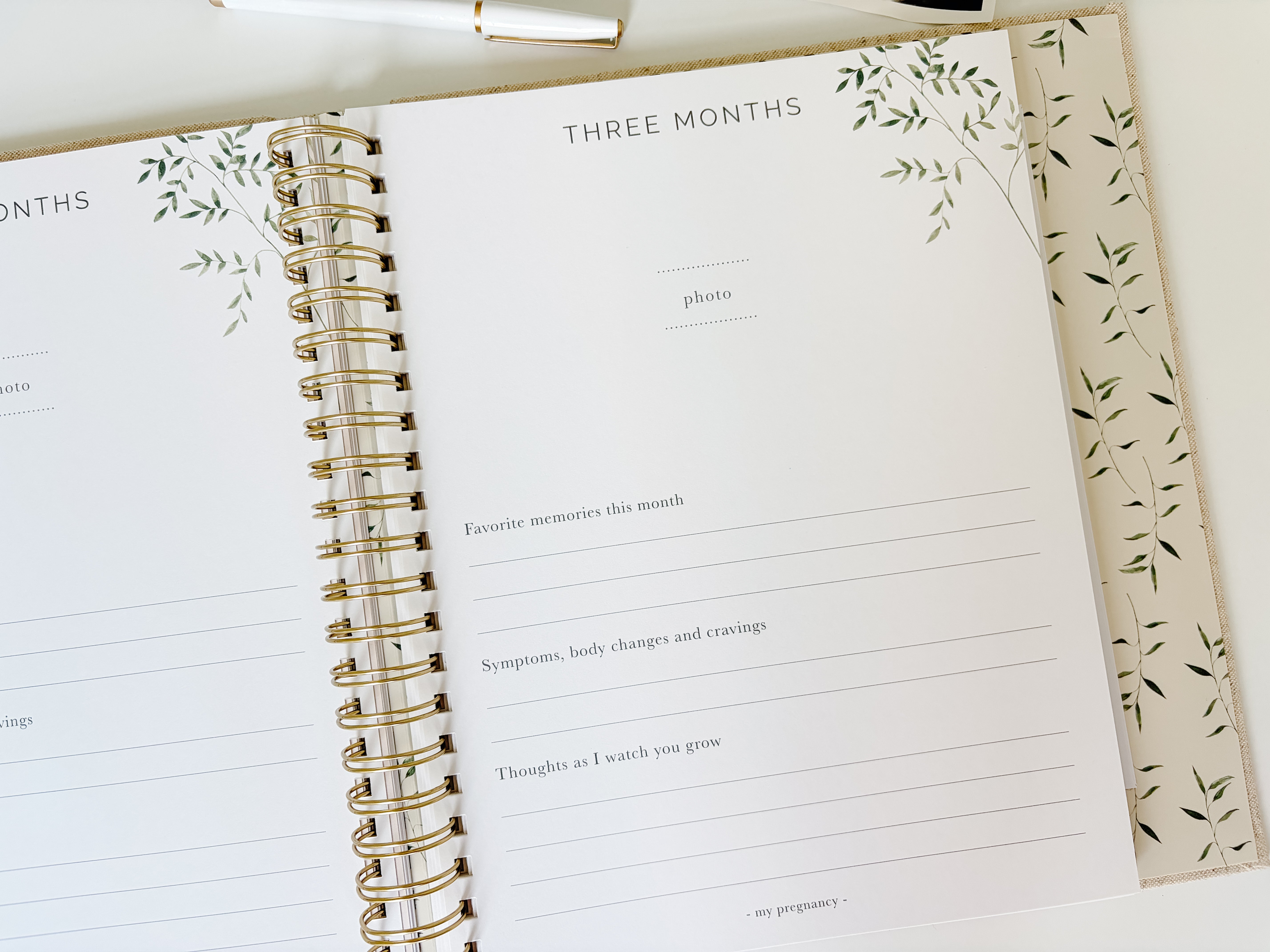 IVF Pregnancy Journal