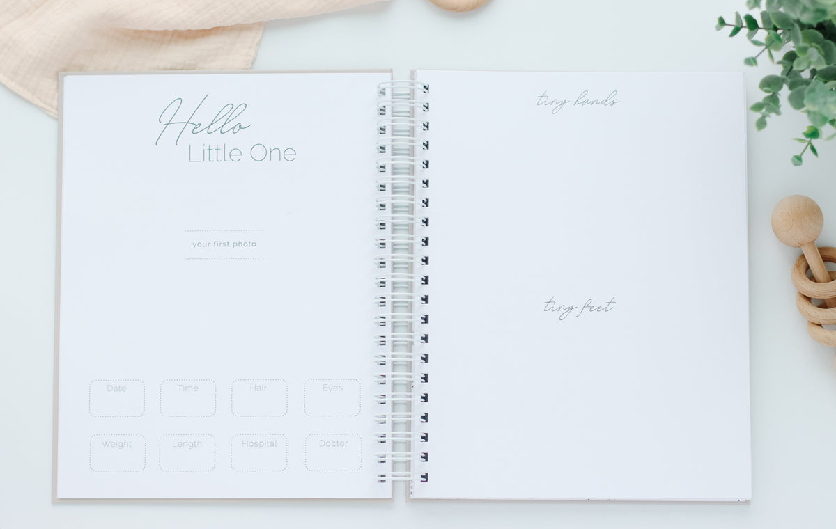 Little Love Baby Book