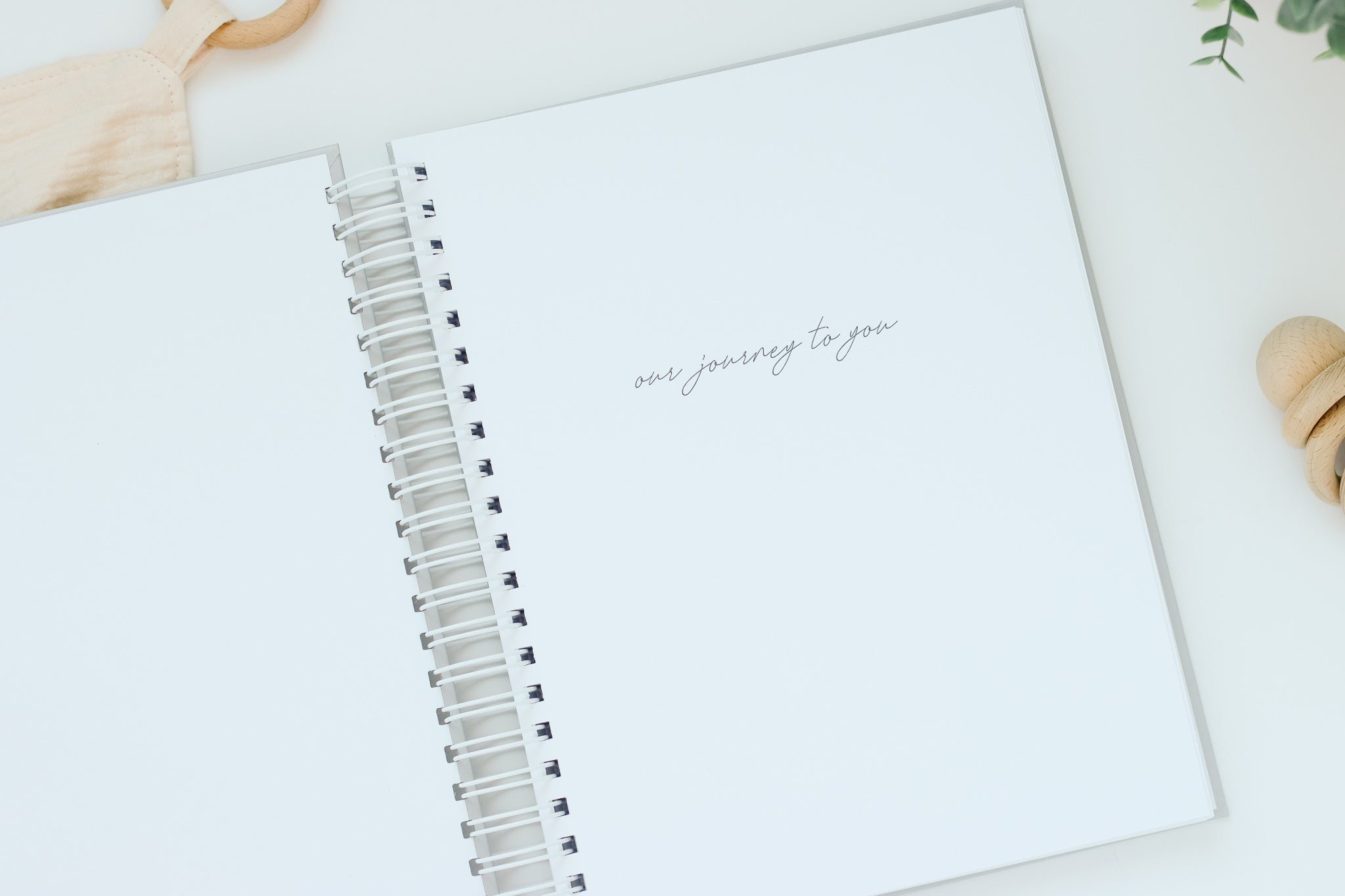 IVF Pregnancy Journal