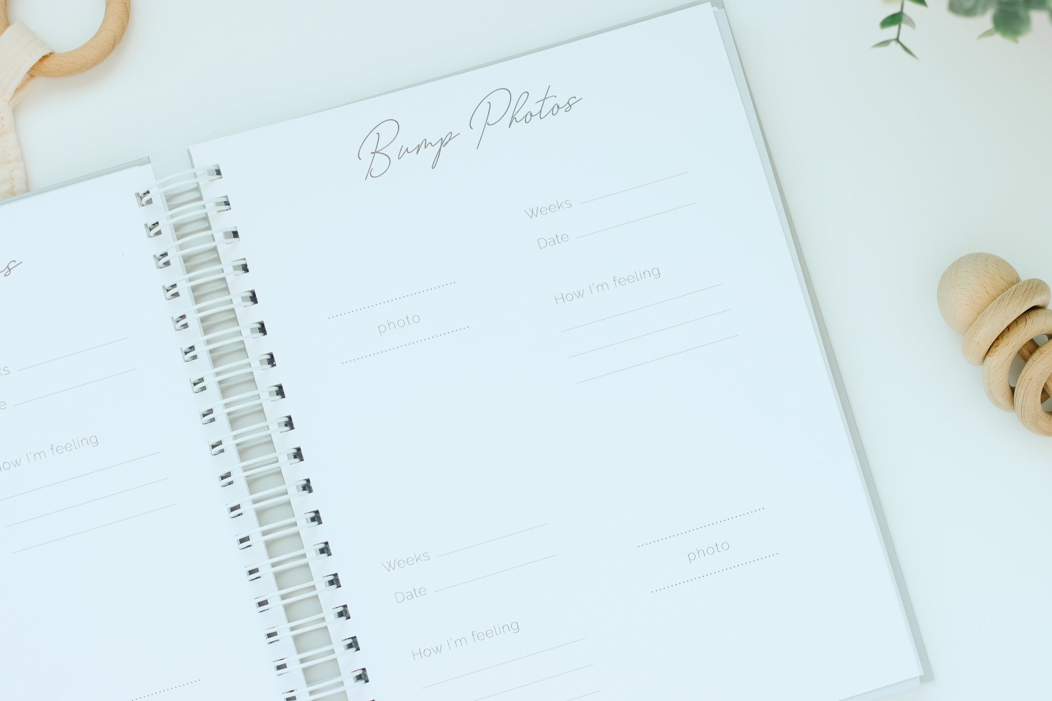 IVF Pregnancy Journal