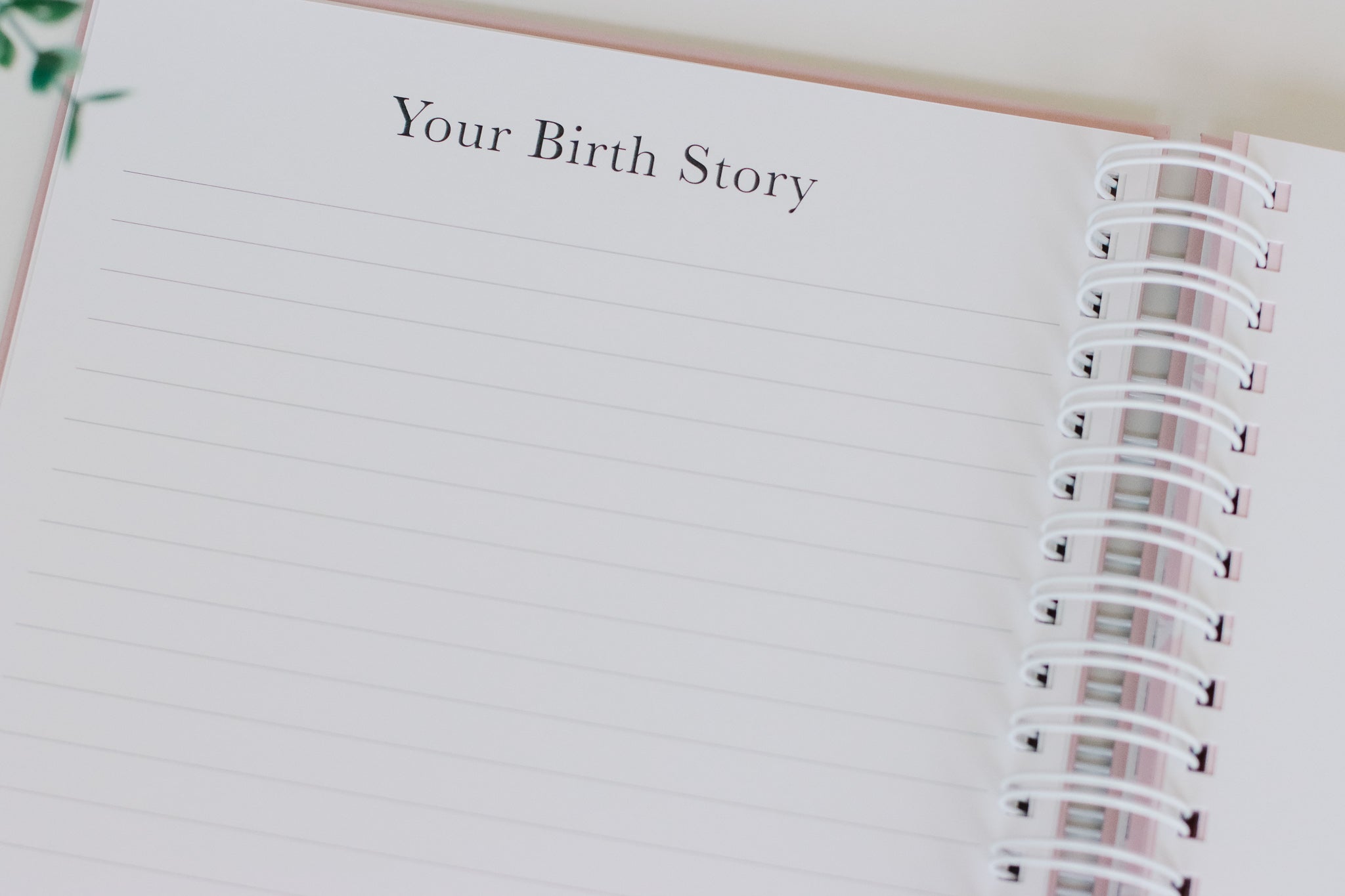 Nautical Baby Book
