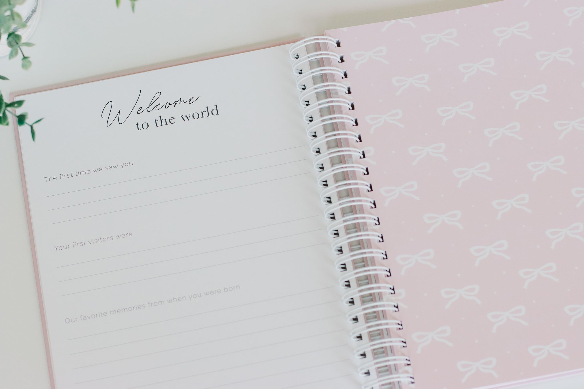 Bows Baby Book