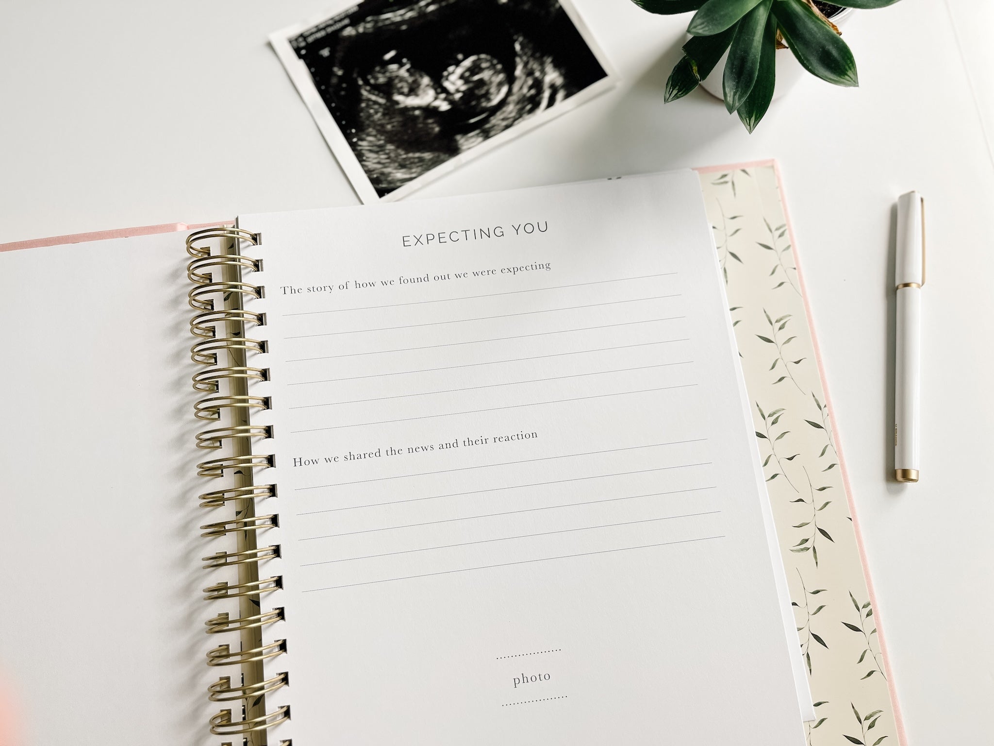 Pregnancy + Baby Book Combo - Sand