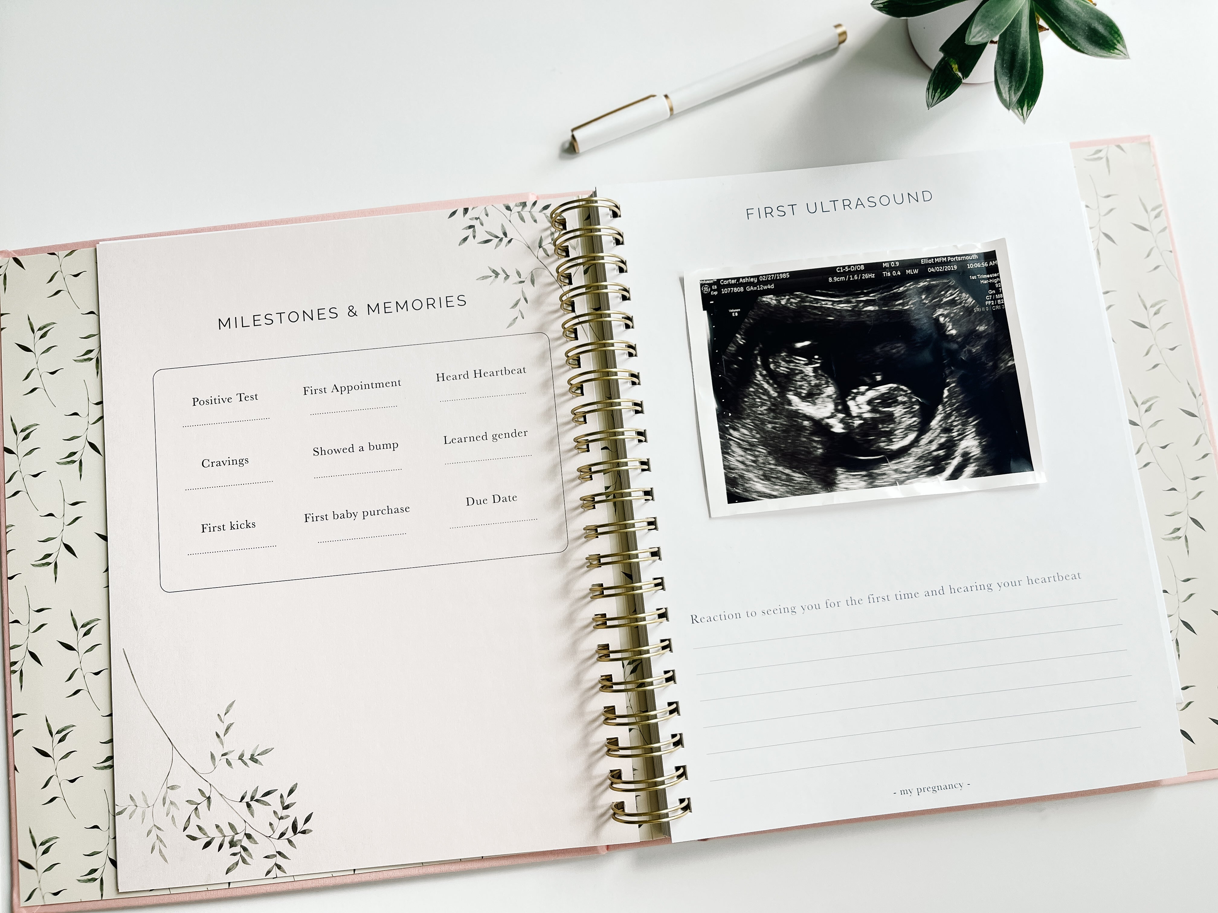 Pregnancy + Baby Book Combo - Dusty Blue (Imperfect)