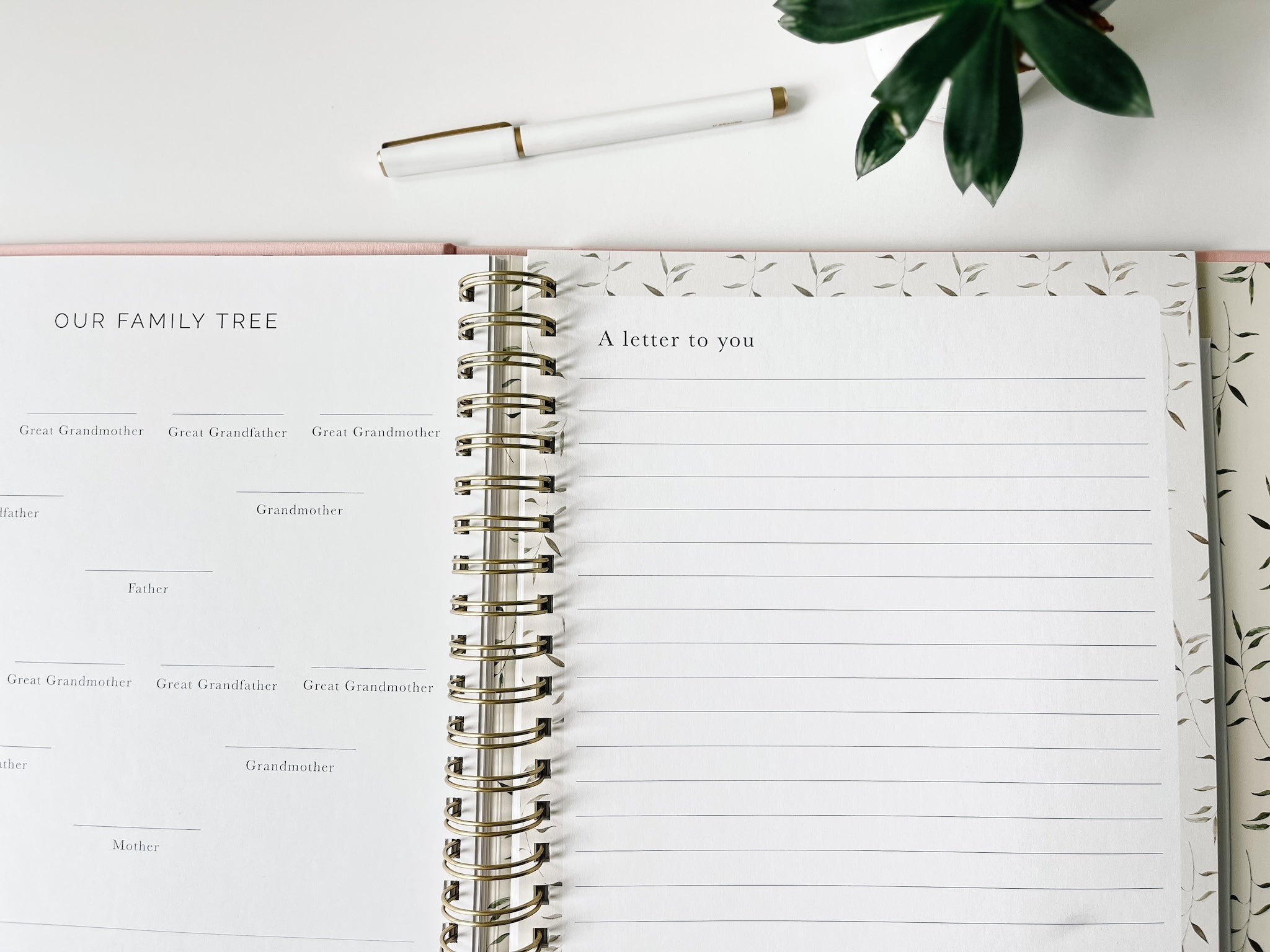 Pregnancy + Baby Book Combo - Dusty Blue (Imperfect)