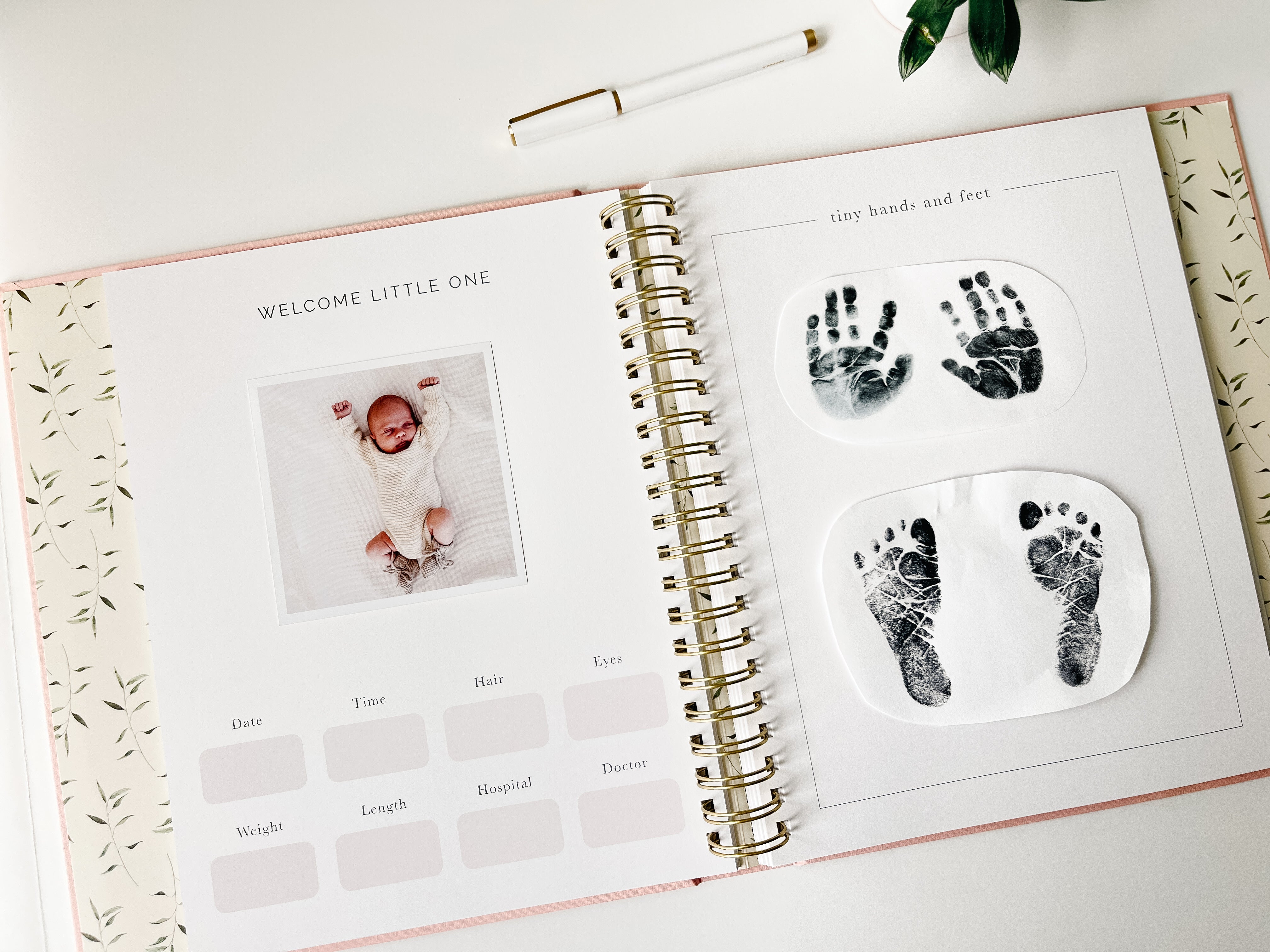 Pregnancy + Baby Book Combo - Dusty Blue (Imperfect)