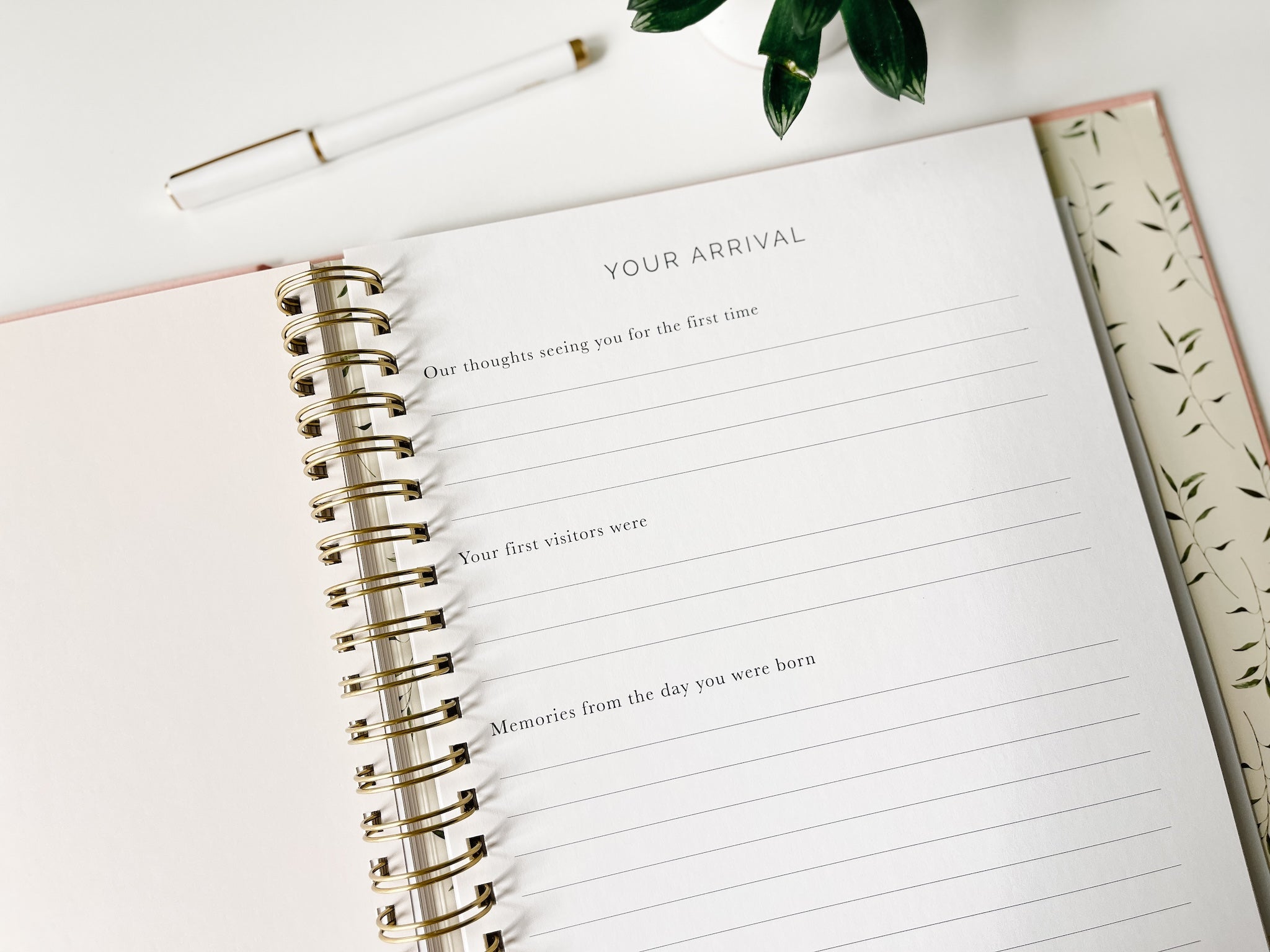 Pregnancy + Baby Book Combo - Dusty Blue (Imperfect)