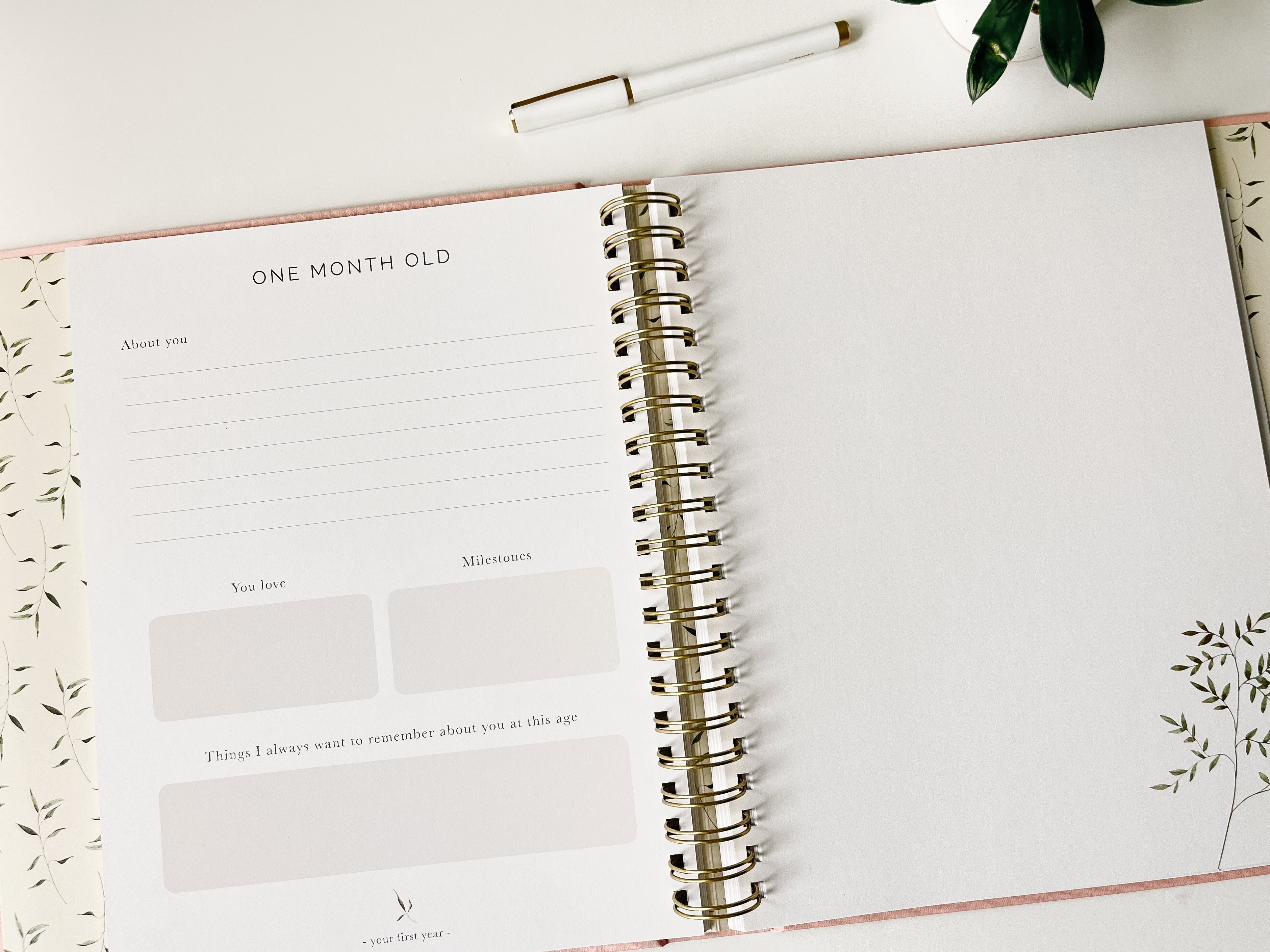 Pregnancy + Baby Book Combo - Dusty Blue (Imperfect)