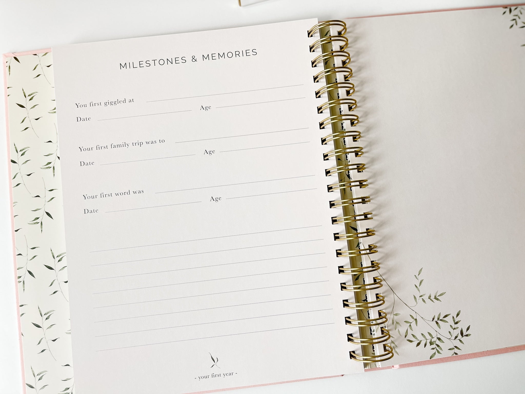 Pregnancy + Baby Book Combo - Dusty Blue (Imperfect)