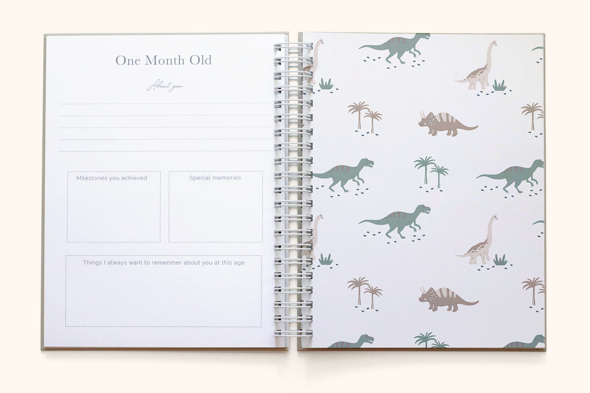 Dinosaur Baby Book