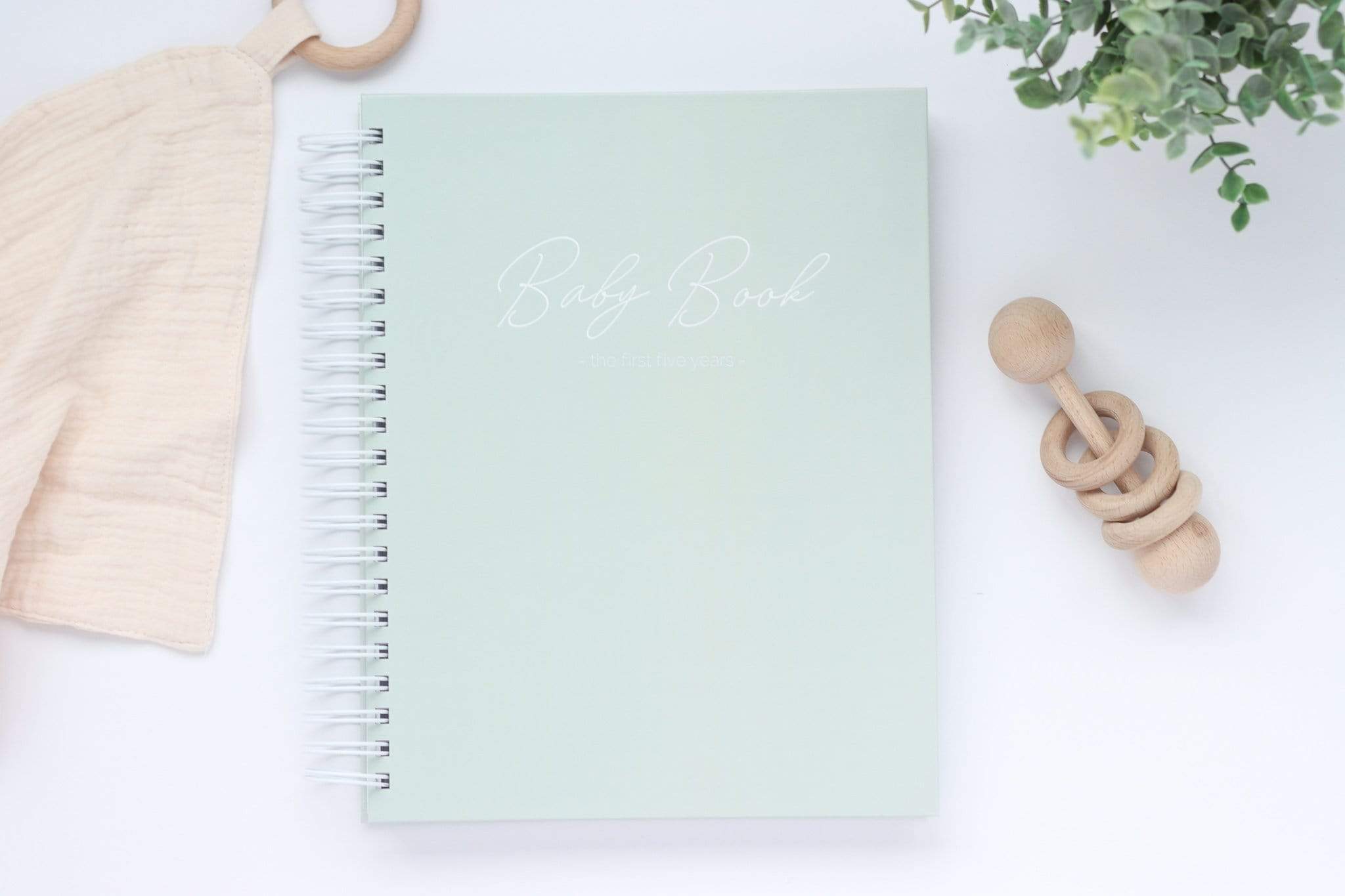 Dinosaur Baby Book