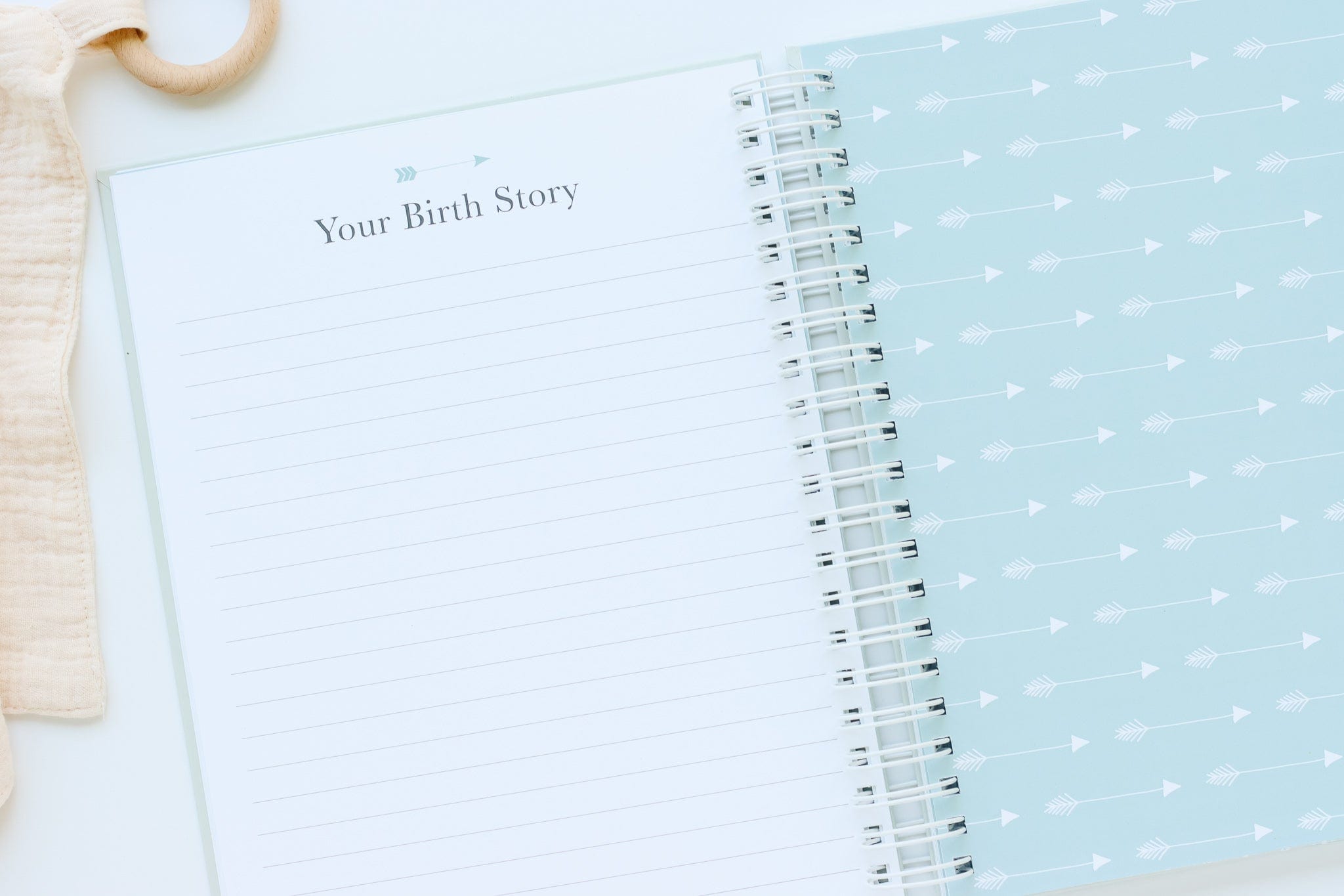 Wild Baby Book