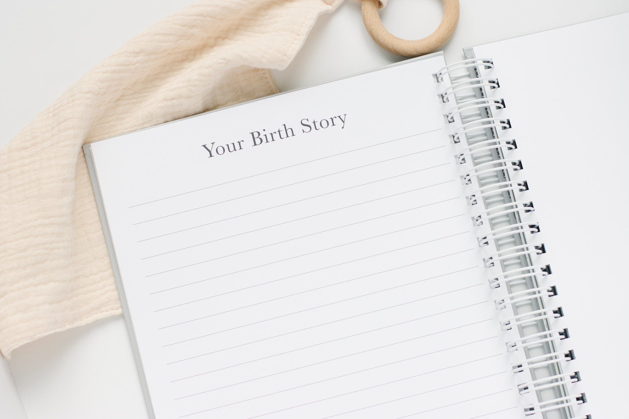 Dinosaur Baby Book