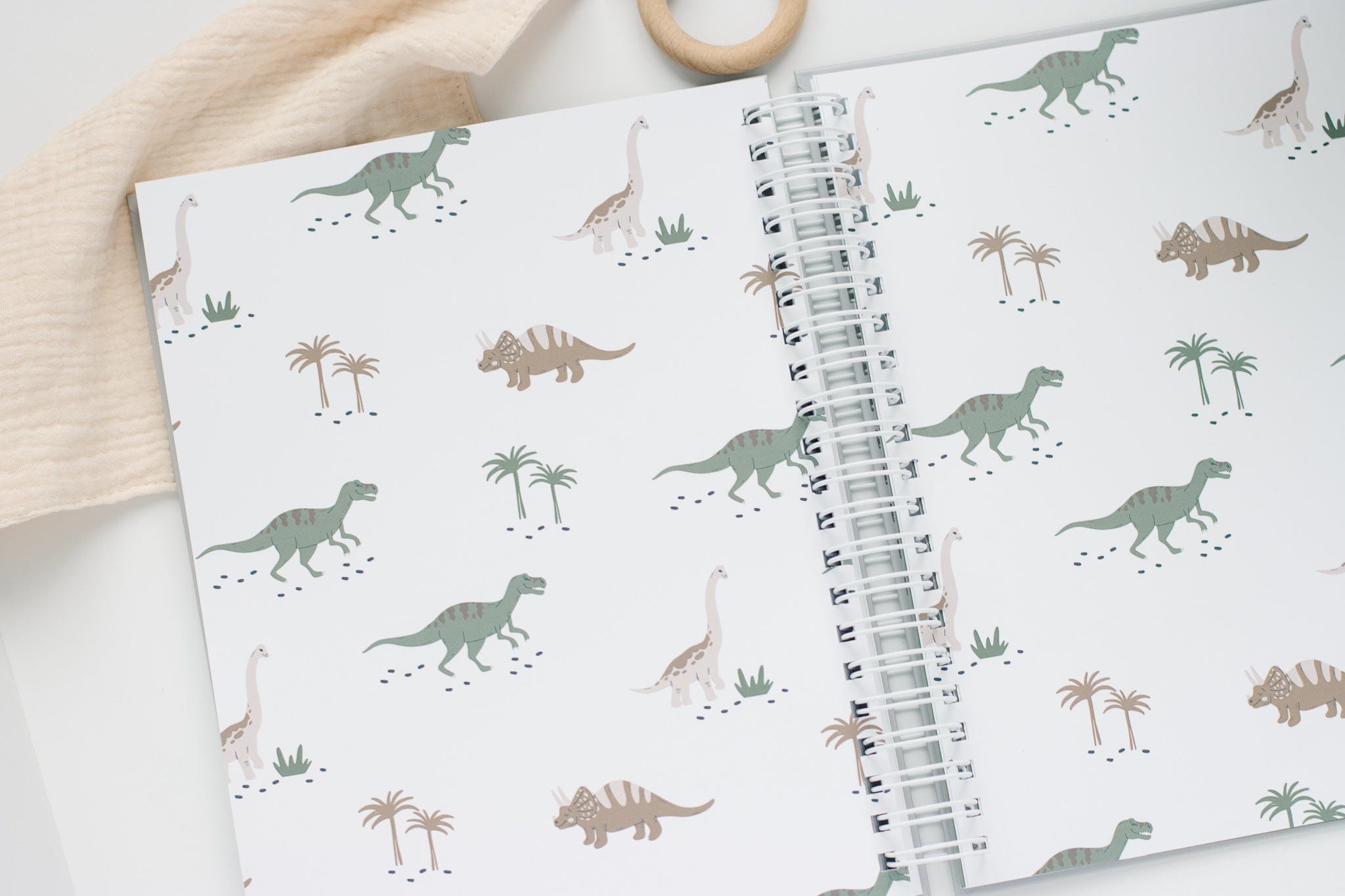 Dinosaur Baby Book